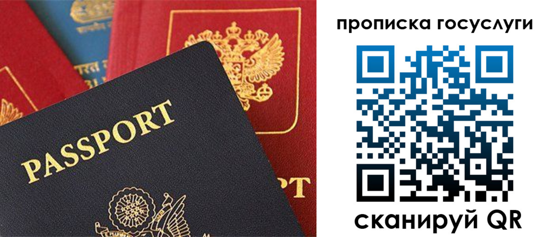 пропишу в квартире в Смоленске
